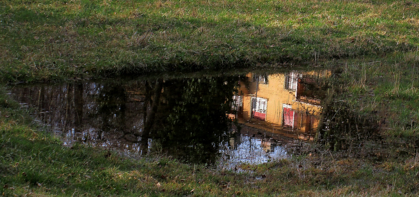 la flaque d' eau .....