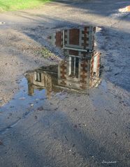 La flaque d'eau aux reflets 