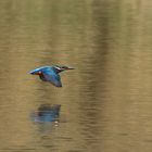 La flèche bleue...