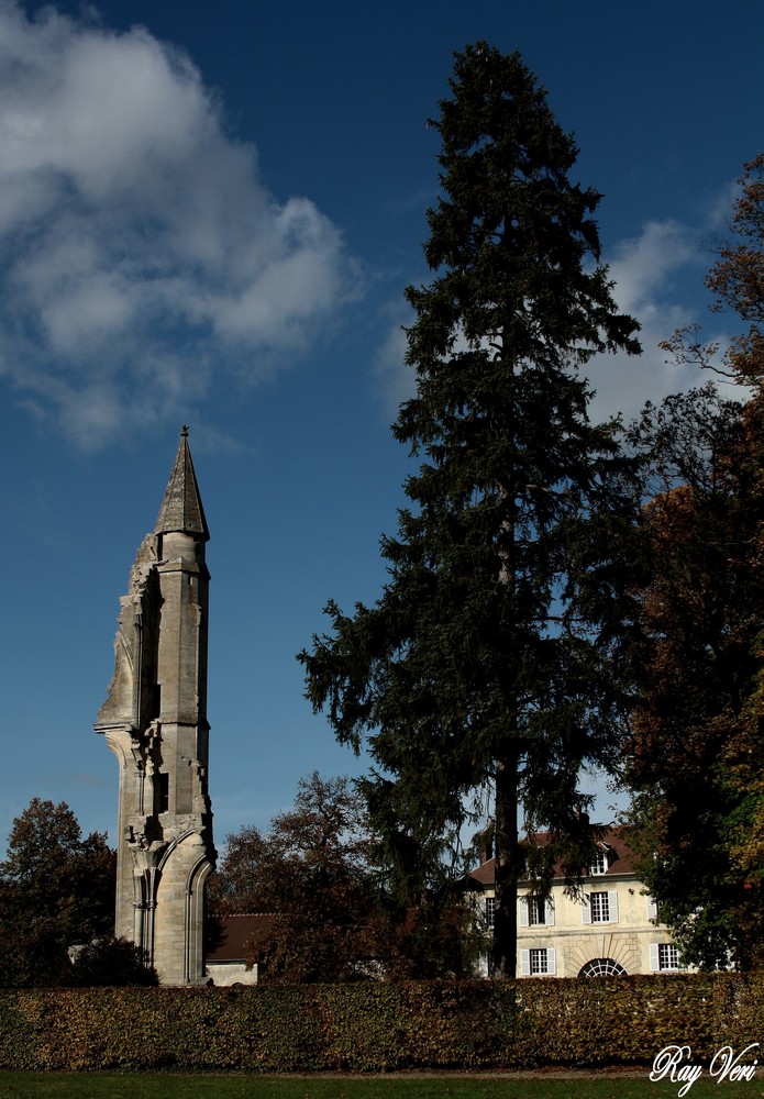 la fleche et l'arbre