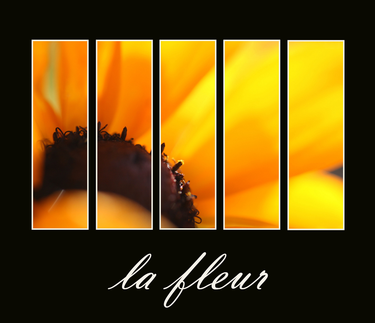 la fleur