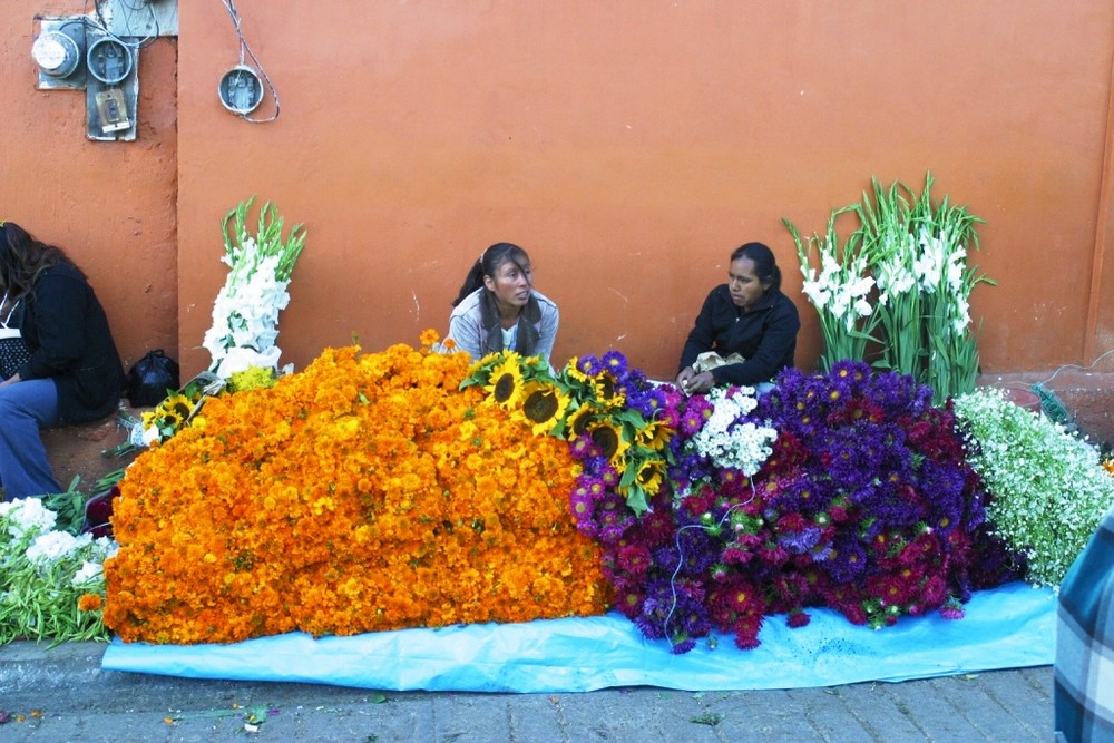 La Flor de Sempasuchil