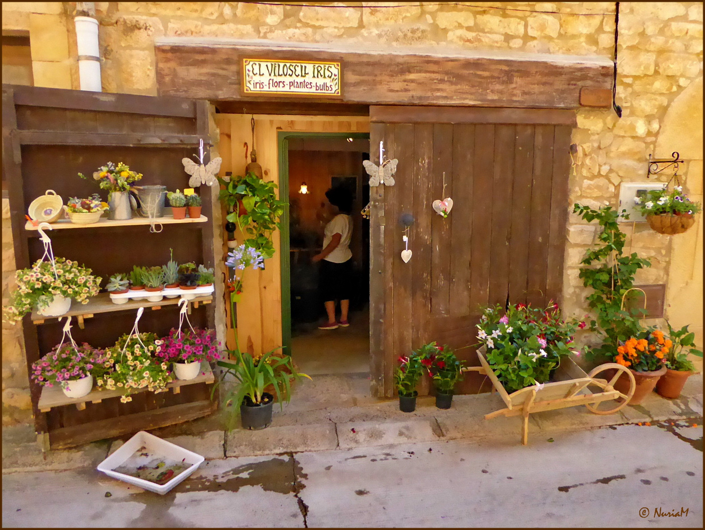 La floristeria