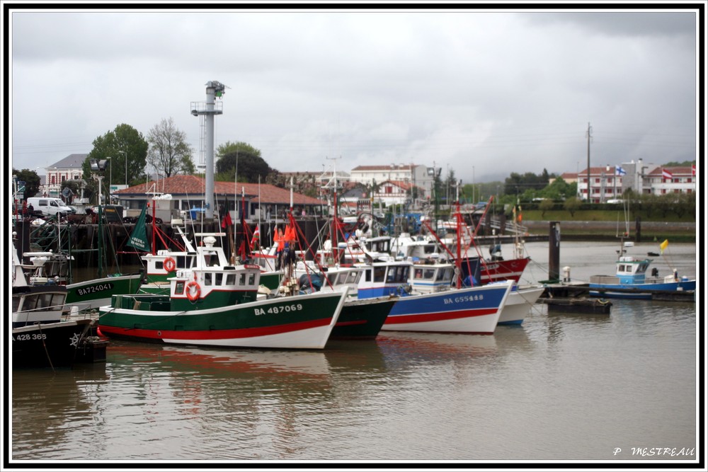 la flottille des pêcheurs de ST JEAN de LUZ