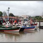 la flottille des pêcheurs de ST JEAN de LUZ