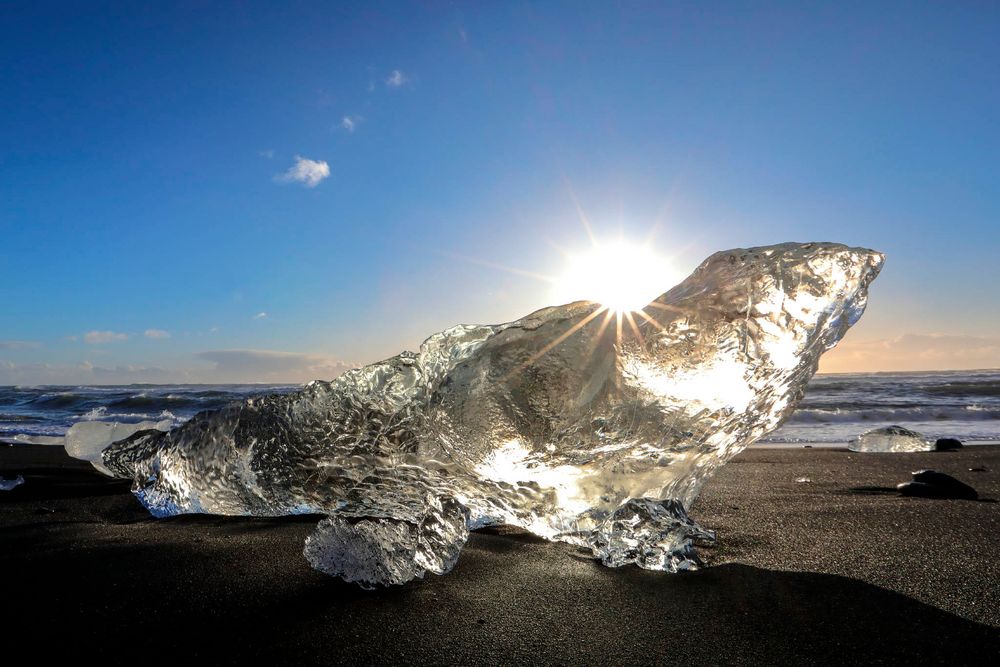 la foca di ghiaccio