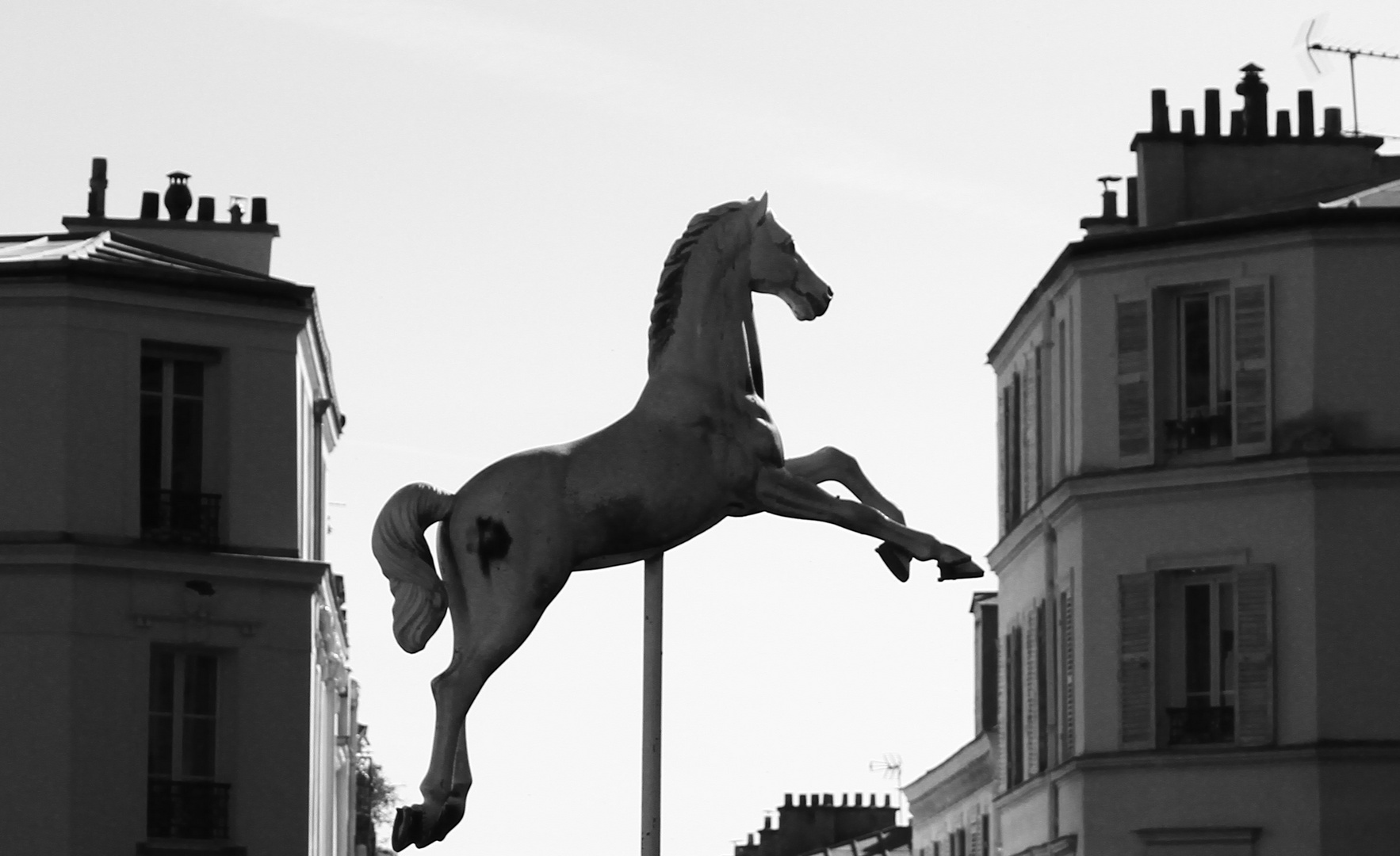 La folie du cheval joli --- [Paris en detail #2]