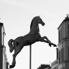 La folie du cheval joli --- [Paris en detail #2]