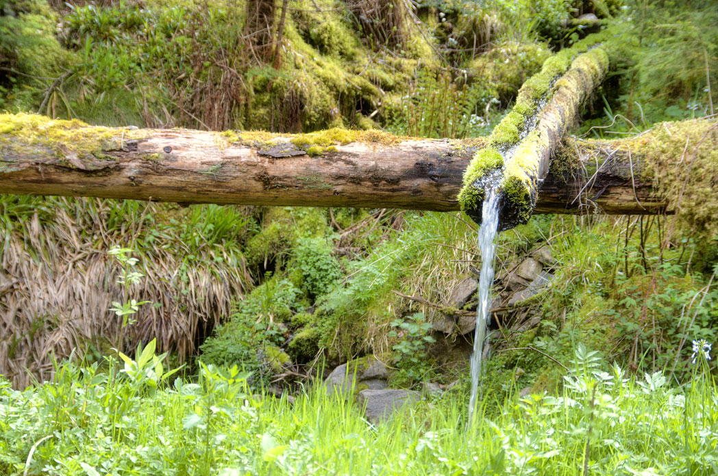 La fontaine