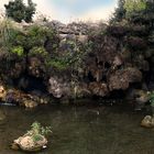 La Fontaine aux oiseaux .