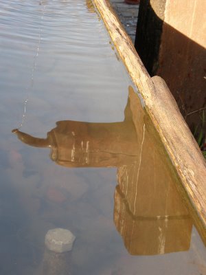 La fontaine