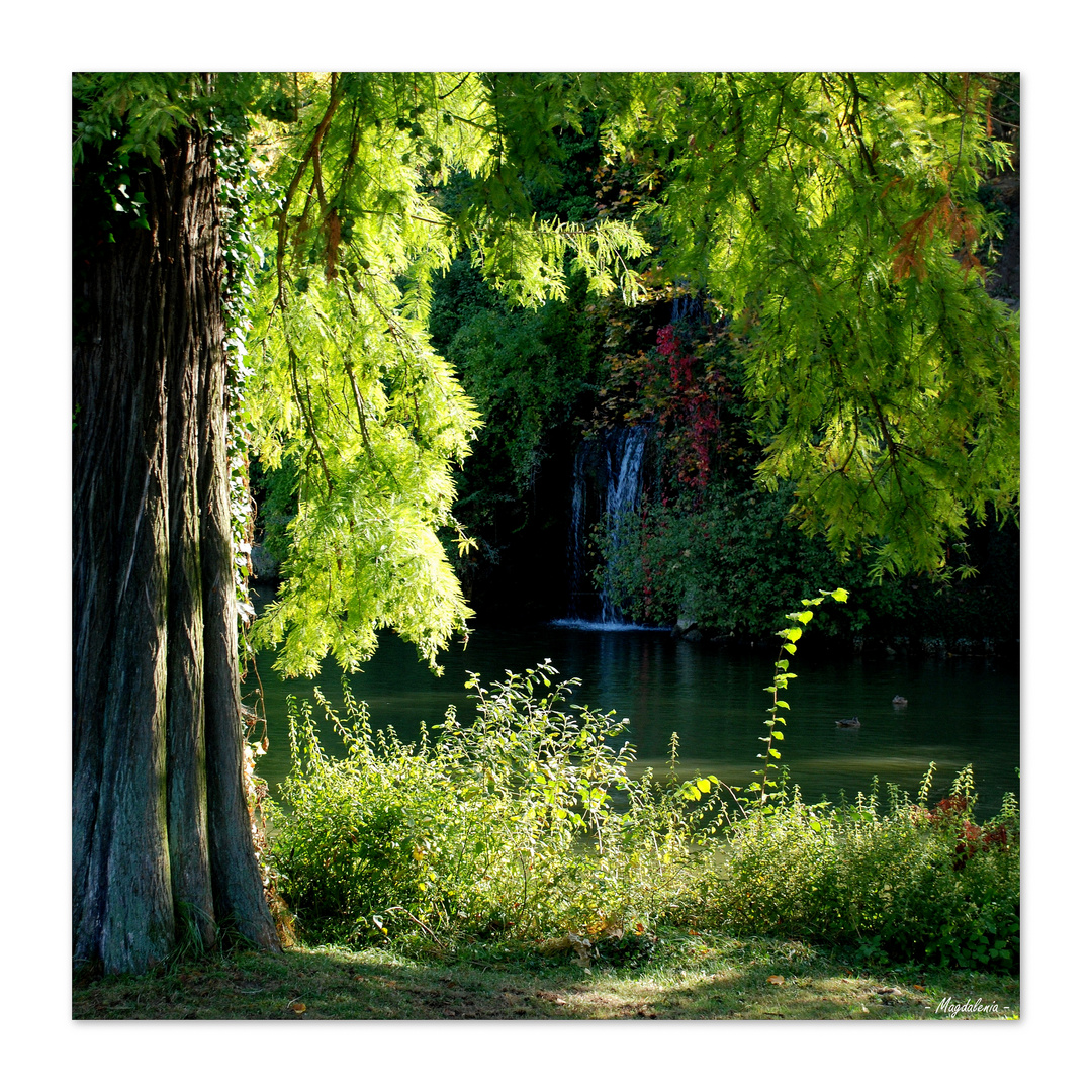 La fontaine du bonheur