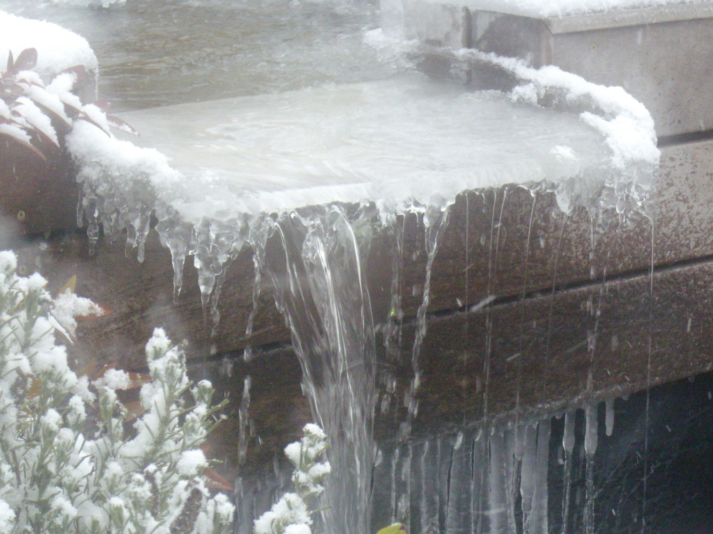 la fontaine gelée