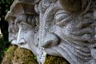 la fontaine moussue de mohane 