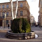 La Fontaine moussue, Cours Mirabeau à Aix en Provence ....