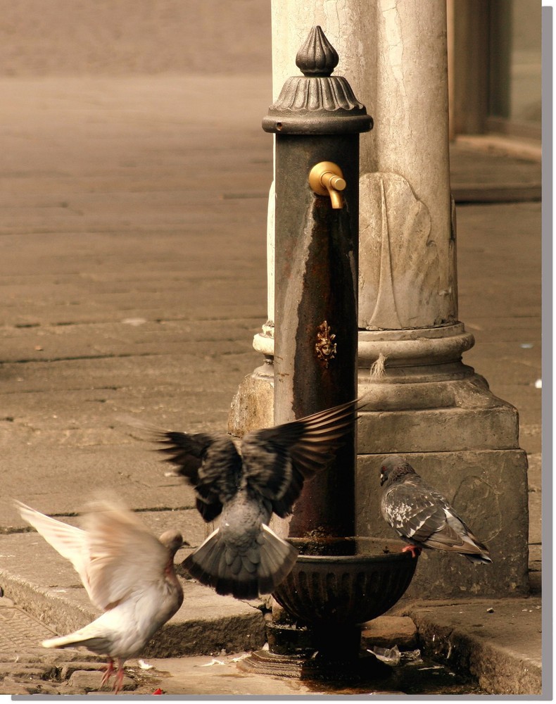 la fontana