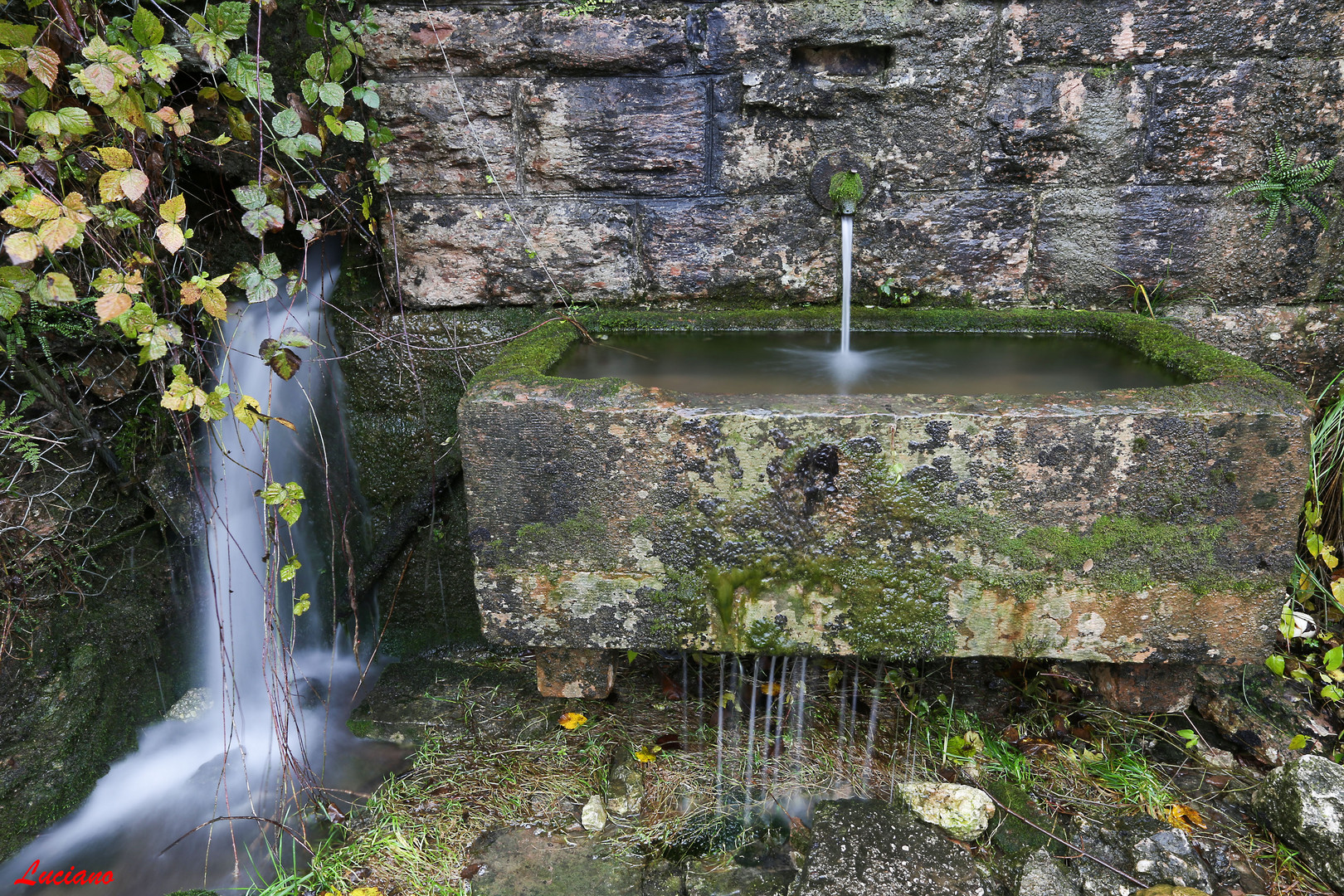 la fontana