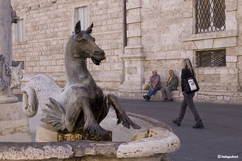 La fontana di Piazza Arringo