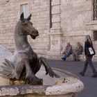 La fontana di Piazza Arringo