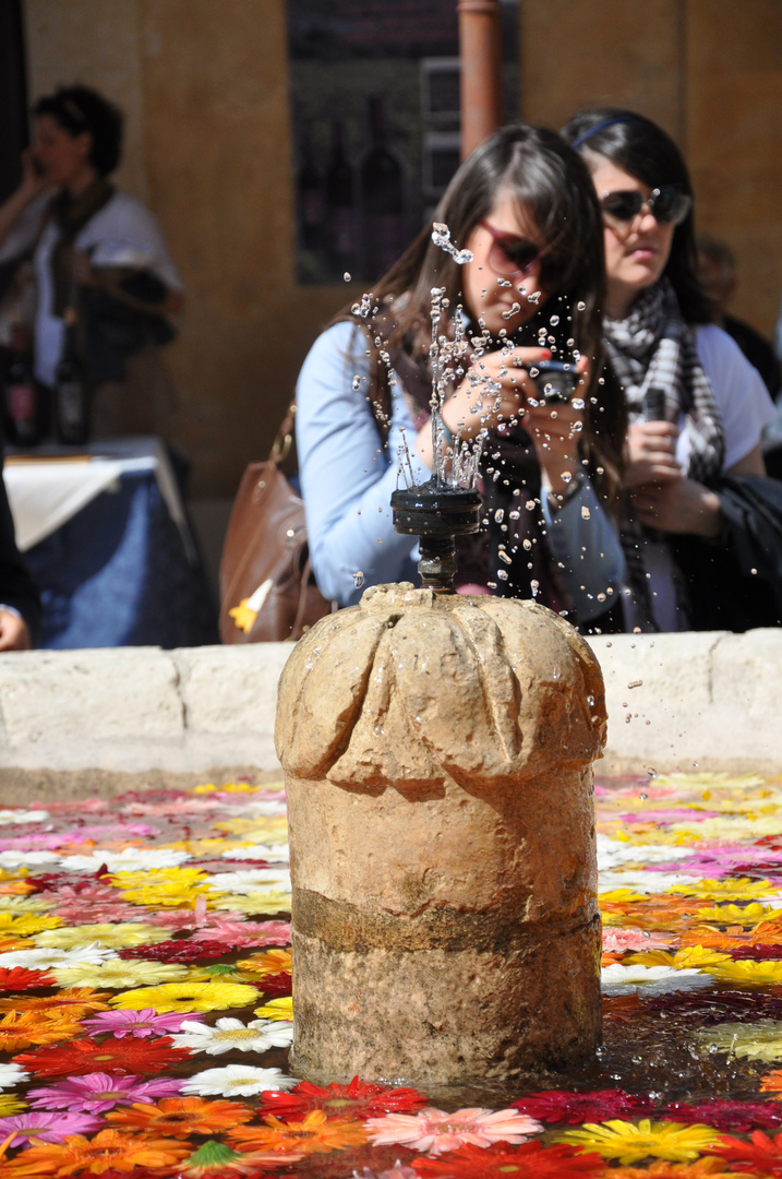 La fontana infiorata