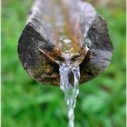 La fontana nel tronco