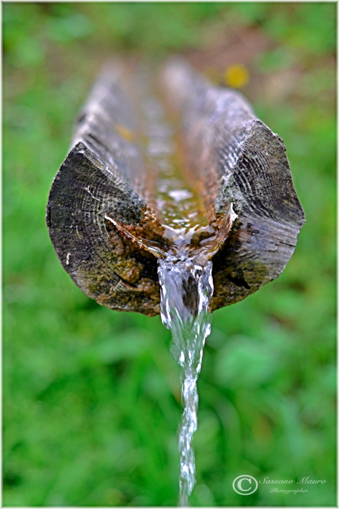 La Fontana nel tronco