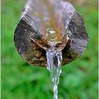 La Fontana nel tronco