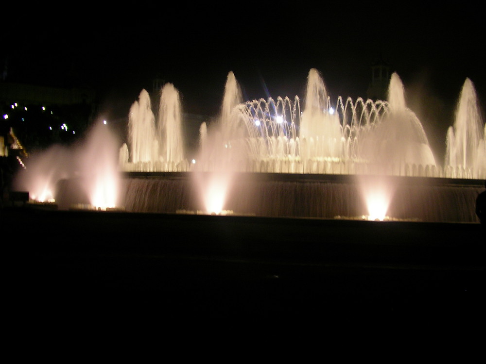 la fontana reale