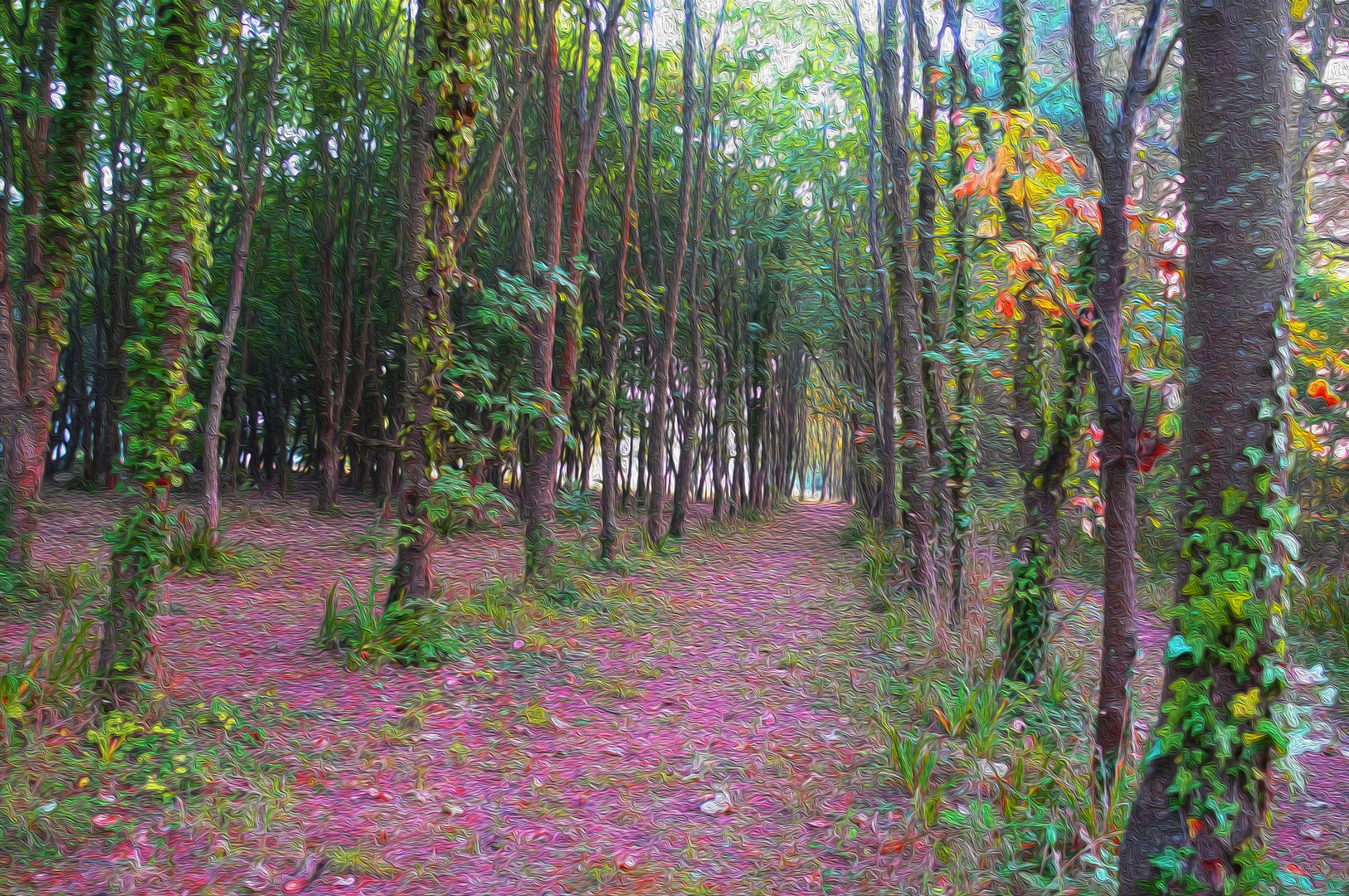 la foret revisitée