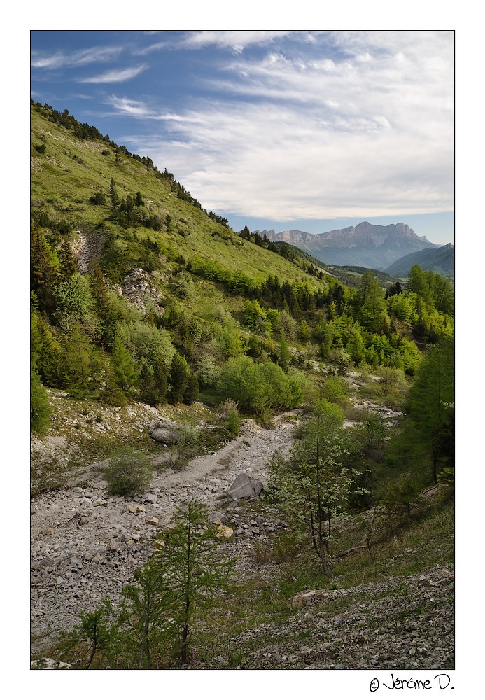 La forêt cède sous le minéral