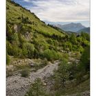 La forêt cède sous le minéral