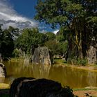 La forêt de pierre, Yunnan, Chine.