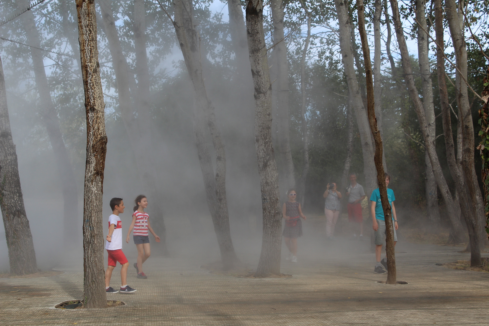 La forêt des enfants perdus 