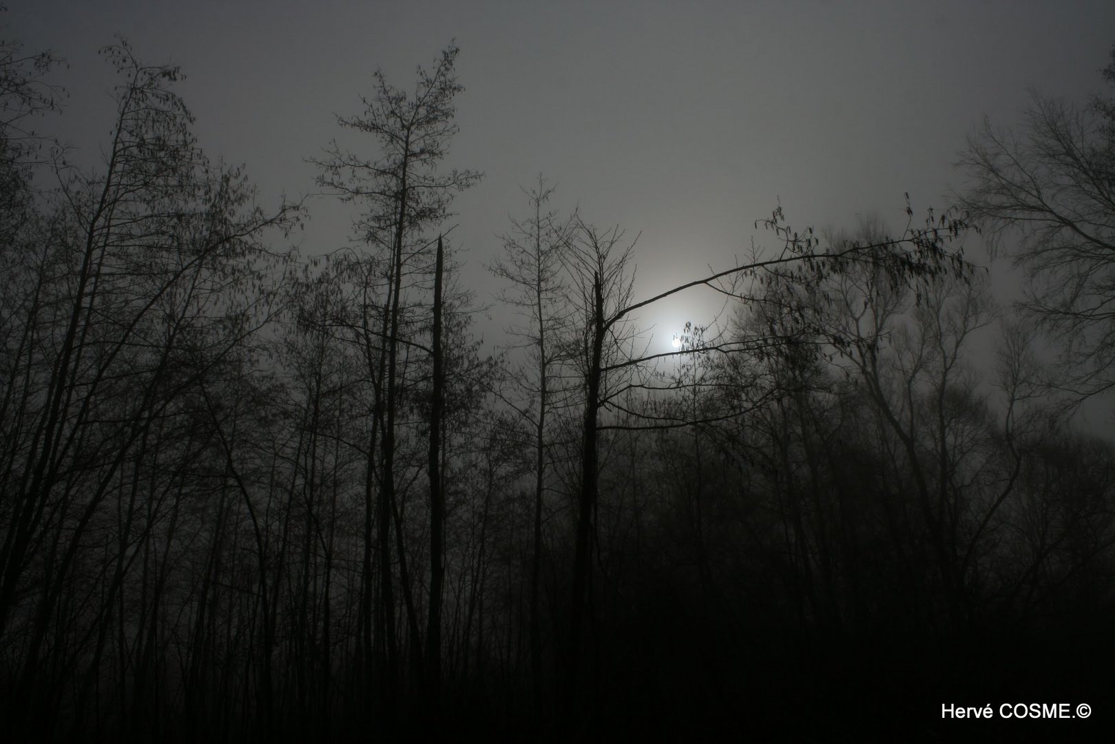 la Forêt noire...