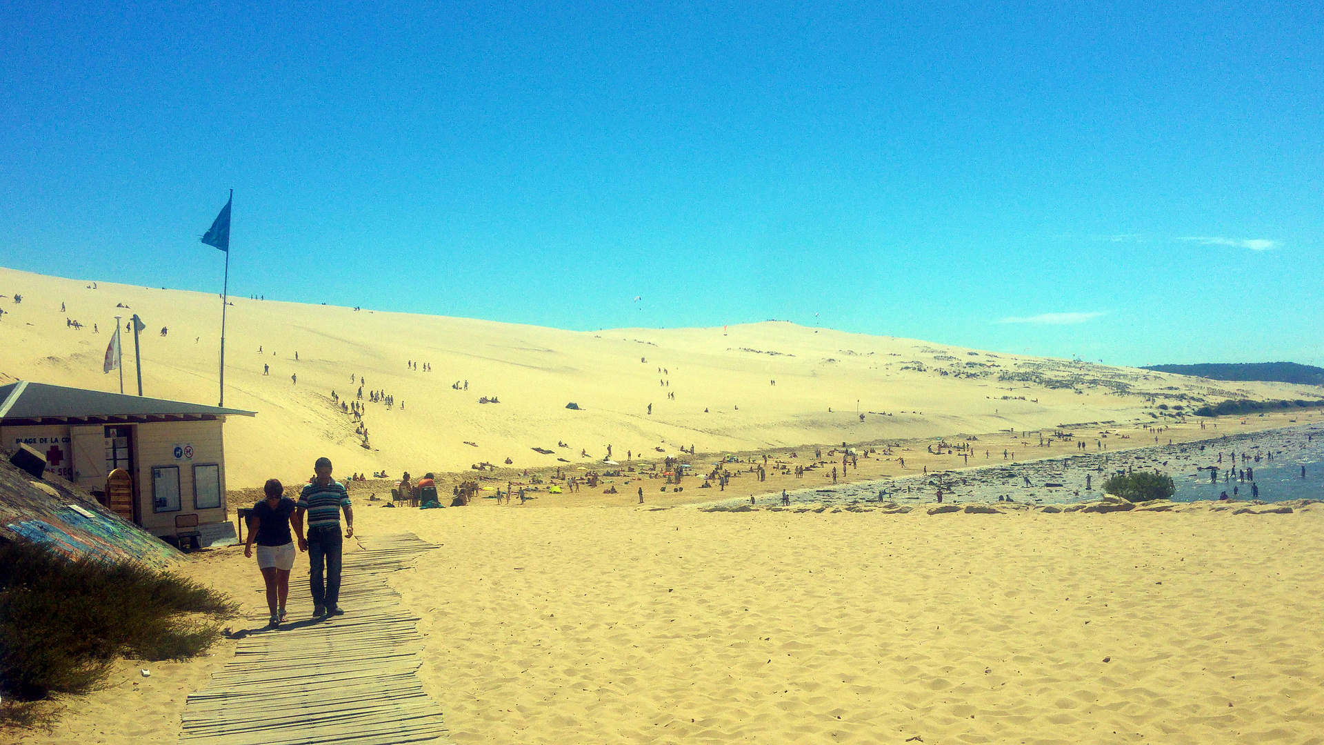 la forêt ressort devant la dune ...!