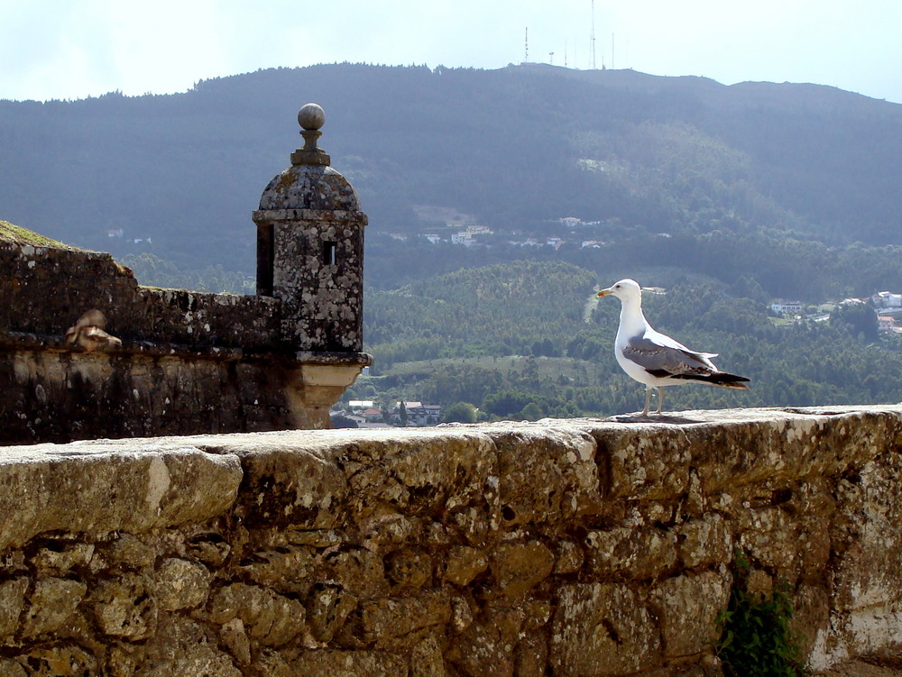 La forteresse de Valença / La fortaleza de Valença..02