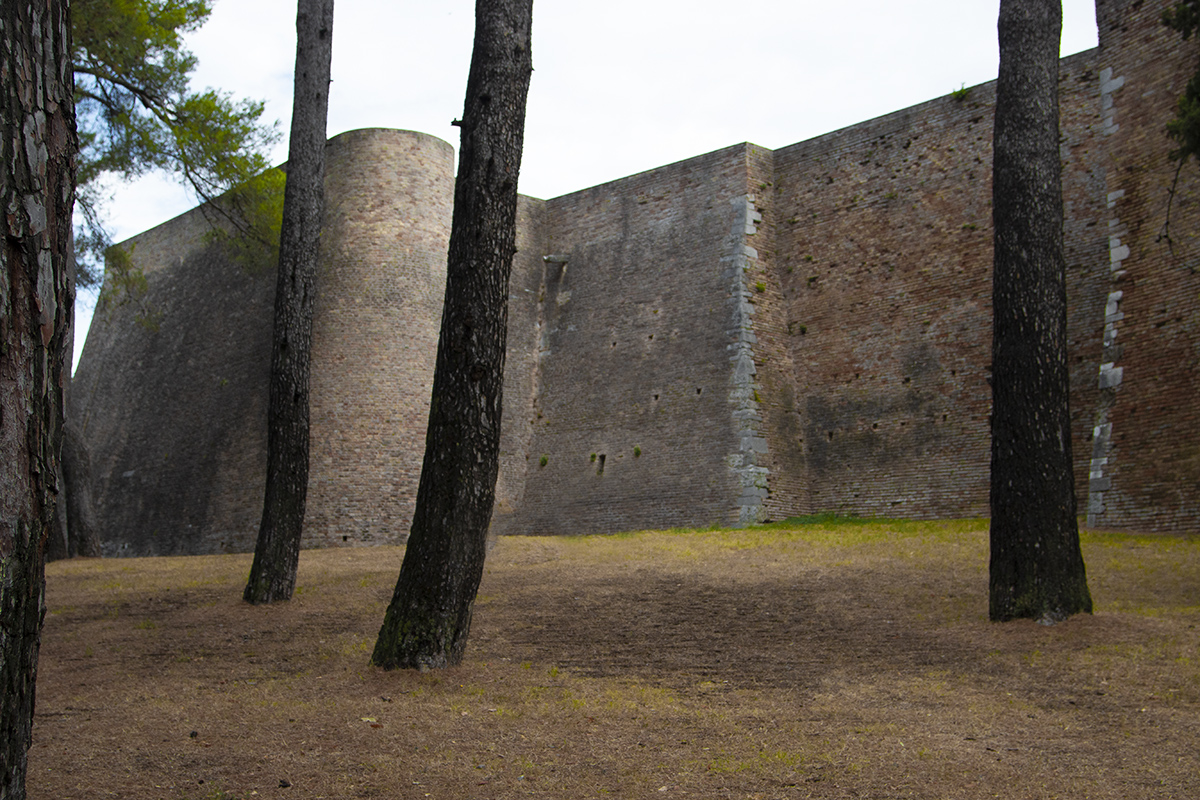 la fortezza di albornoz