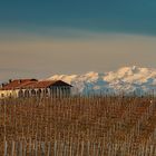 La fortuna di abitare in Piemonte 