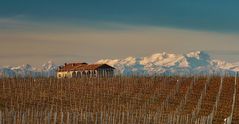 La fortuna di abitare in Piemonte 