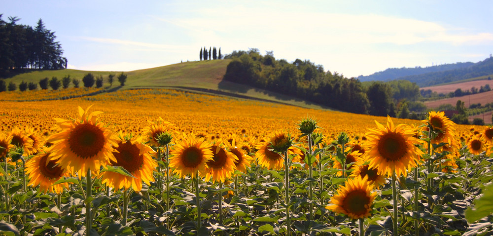 La "forza" dei colori