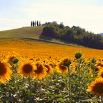 La "forza" dei colori