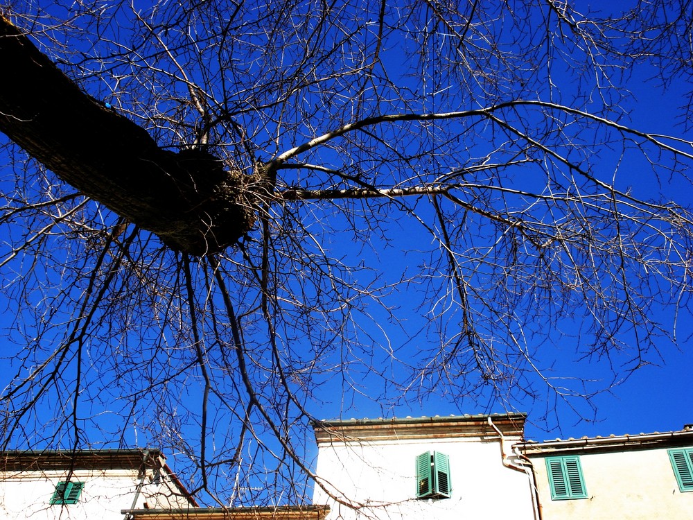 La forza del cielo - Die Kraft des Himmels