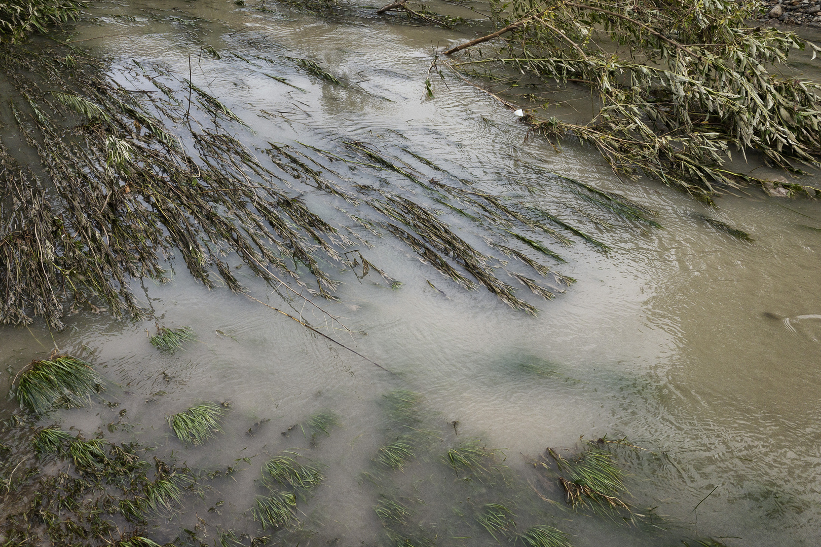 La forza del fiume