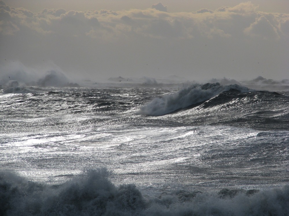 la forza del mare