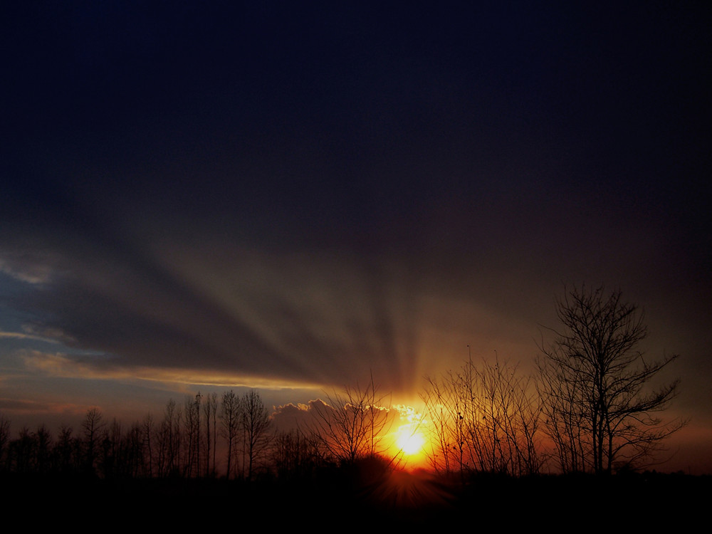 ....LA FORZA DELLA LUCE....