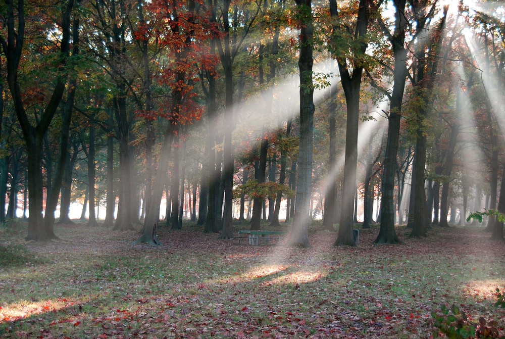 La forza della Luce