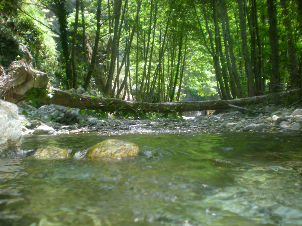 La forza della natura