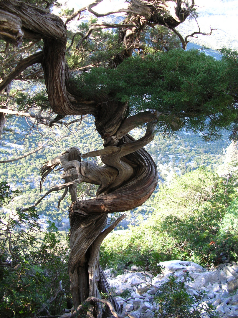 La forza della natura