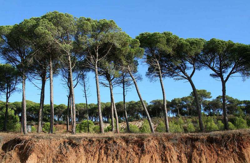 la Fosca (Palamos)