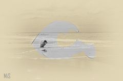 La fotografa del mar